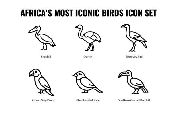 Africa s Most Iconic Birds Icon Set for Graphics and Icons