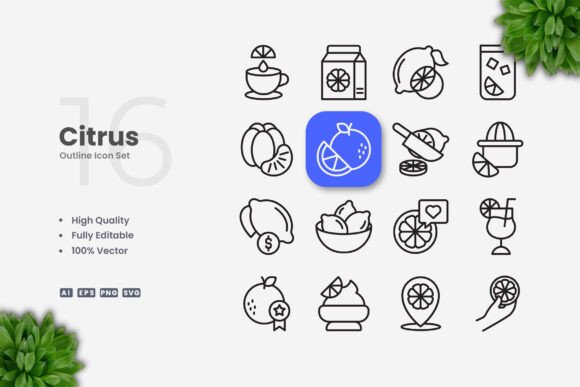 Citrus Icons – Clean Graphics for Digital and Print Products