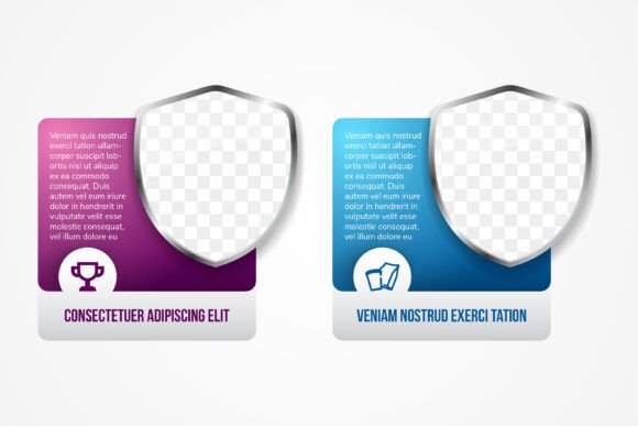 Infographic Shield Photo: A Designer's Review of Modern Graphics